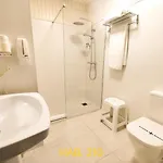 Vista Alegre
