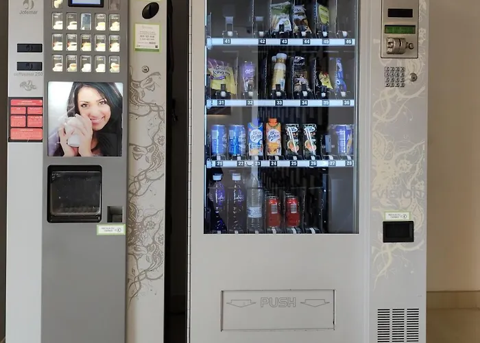 Guest house Vista Alegre