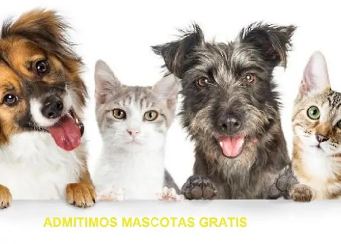 Pensjonat Vista Alegre 3*